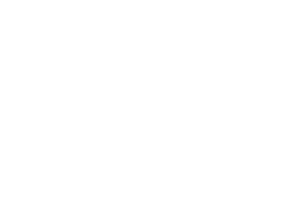 MotoPlay